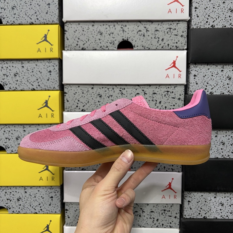 Gazelle Indoor 2