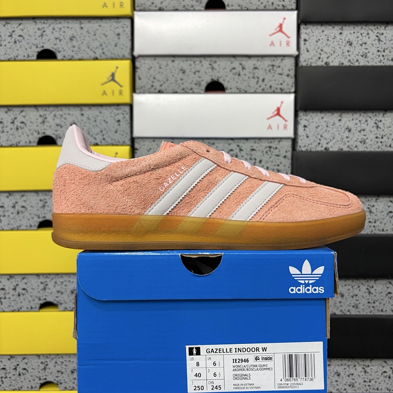 Gazelle Indoor 9