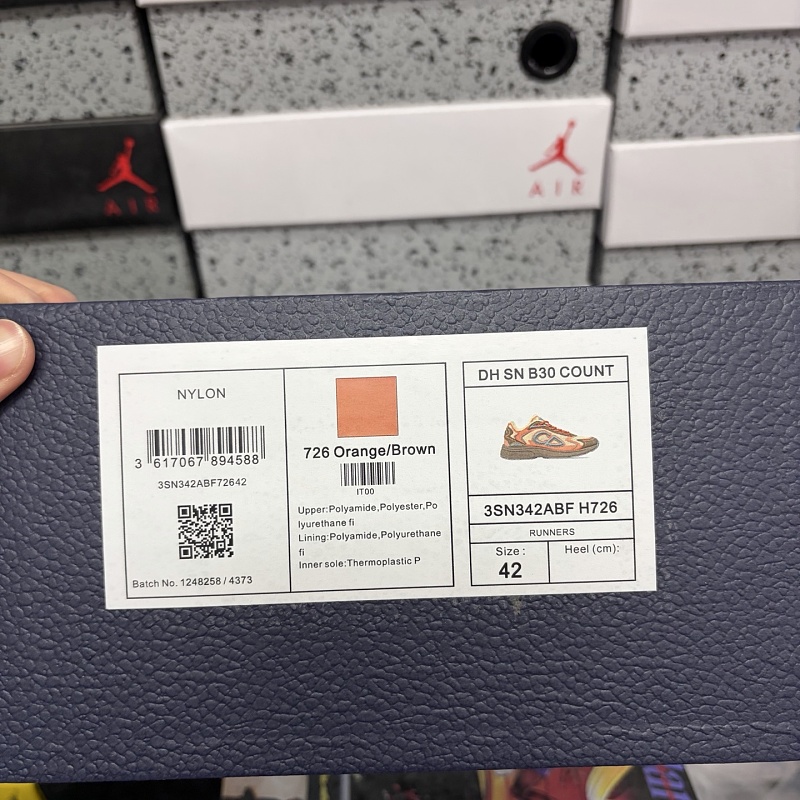Dior B30 Sneakers 10
