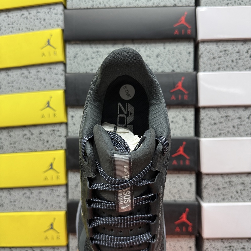 Pegasus Premium 4