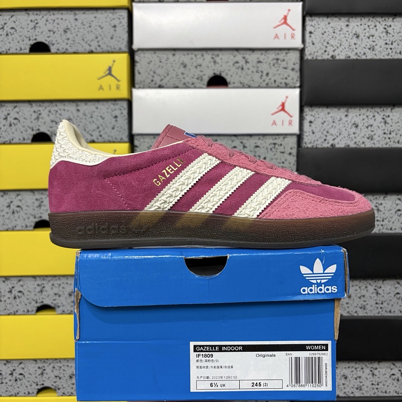 Gazelle Indoor 9
