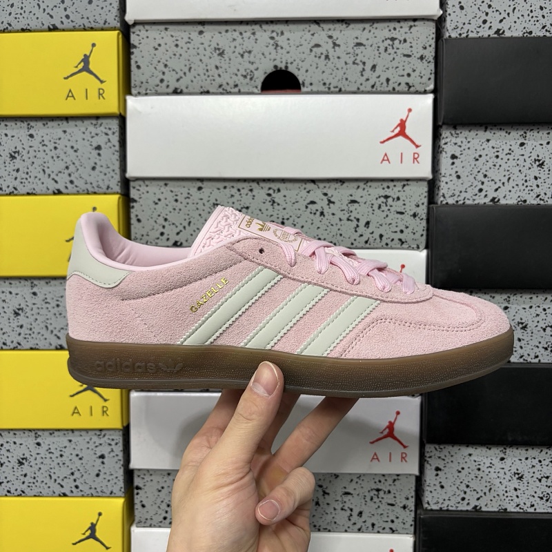Gazelle Indoor 10