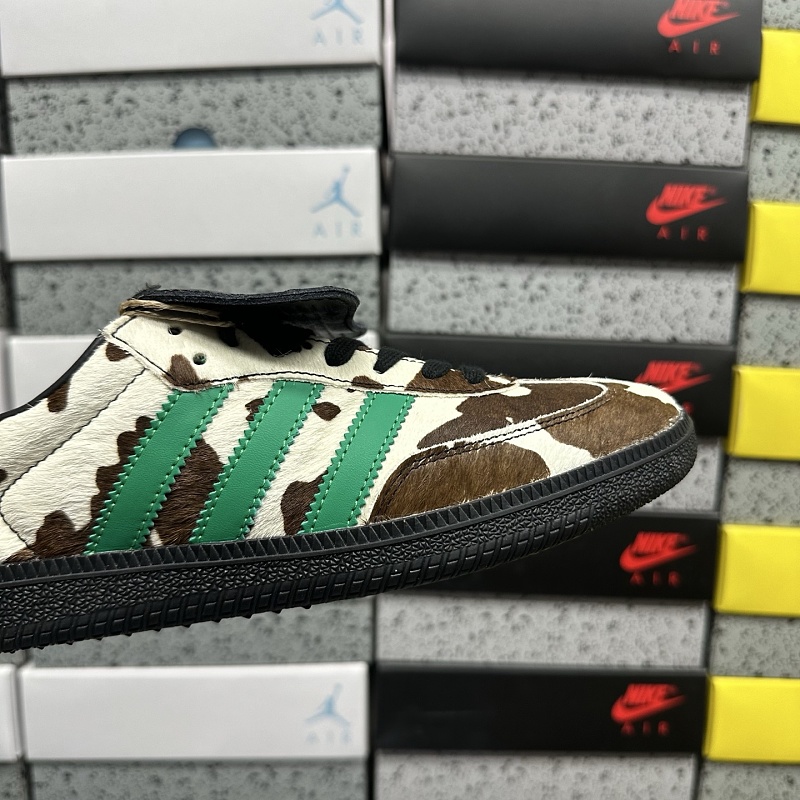 Samba 6