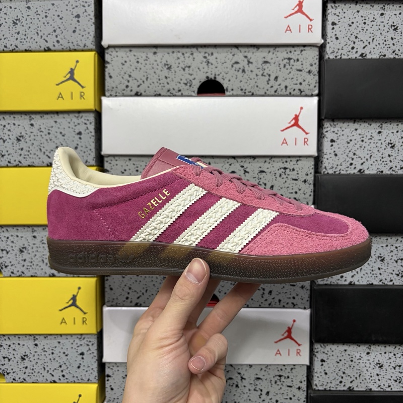 Gazelle Indoor 10