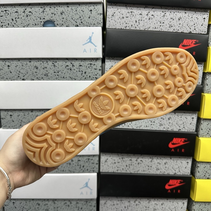 Gazelle Indoor 2