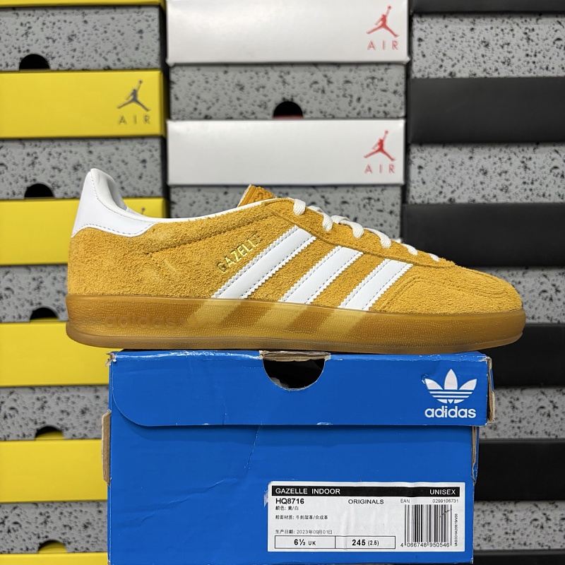 Gazelle Indoor 9