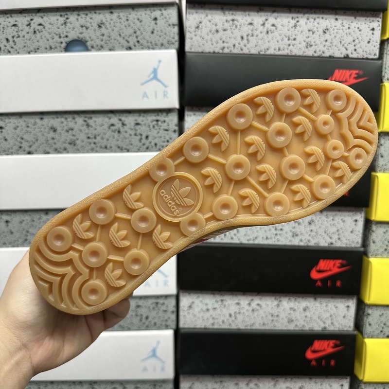 Gazelle Indoor 2