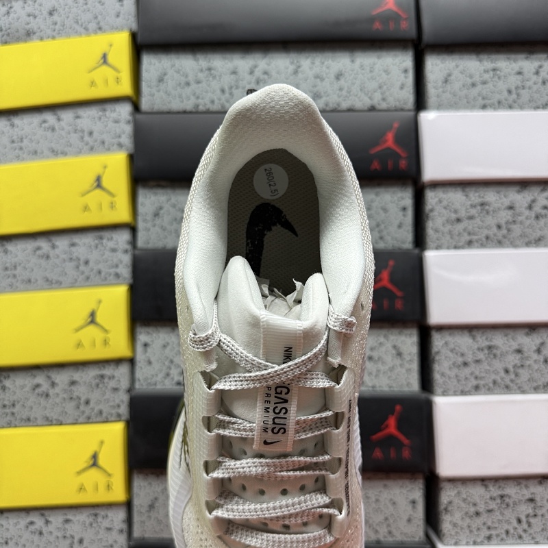 Pegasus Premium 4
