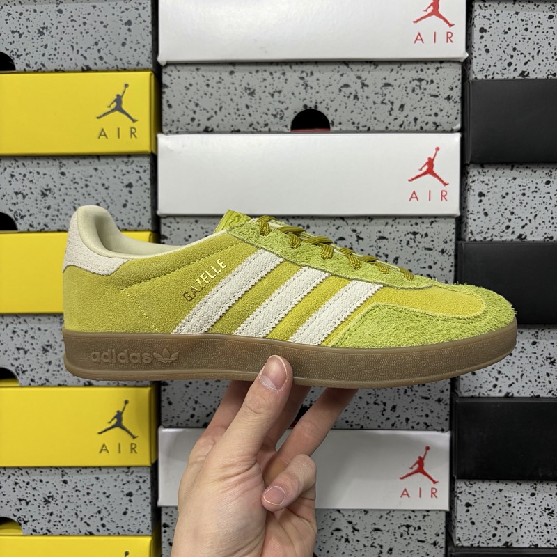 Gazelle Indoor 10