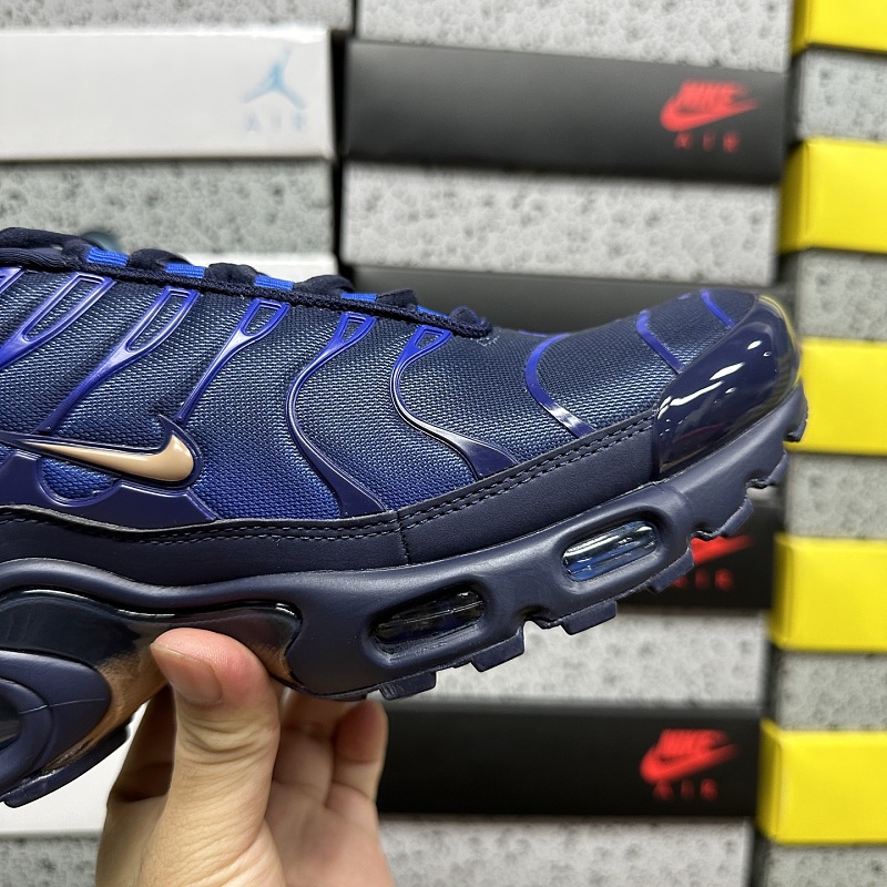 Air Max Plus TN 6