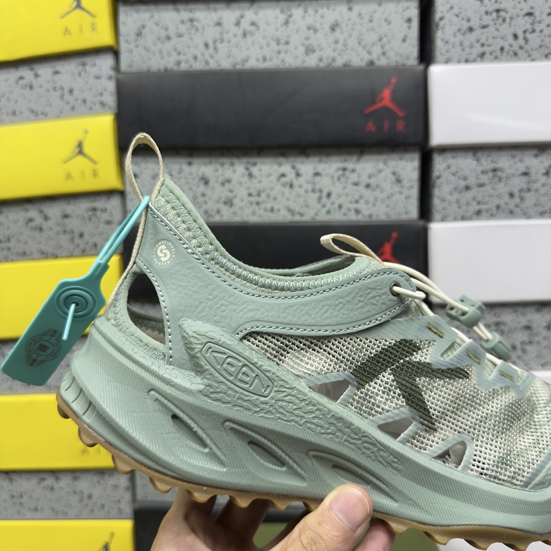 Zionic Adv · 6