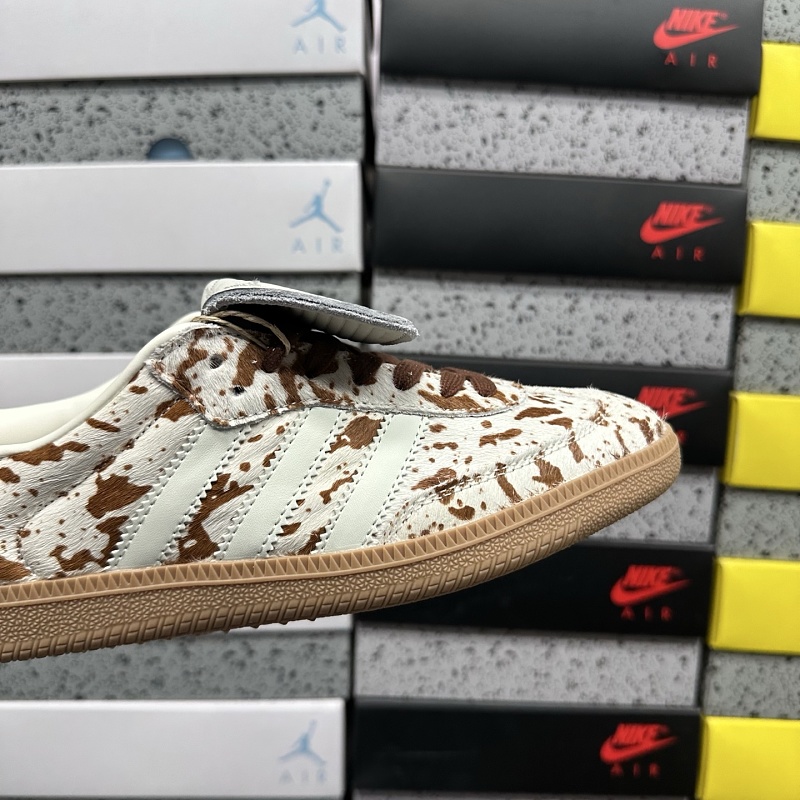Samba 6