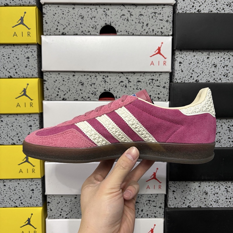 Gazelle Indoor 2