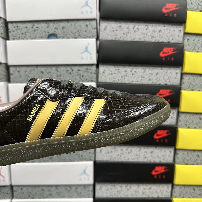 Samba 6
