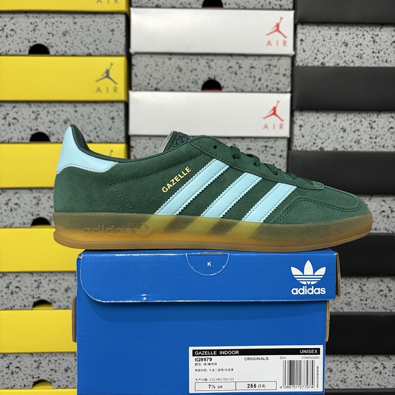 Gazelle Indoor / 9