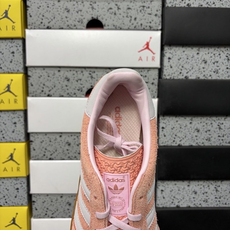 Gazelle Indoor 5