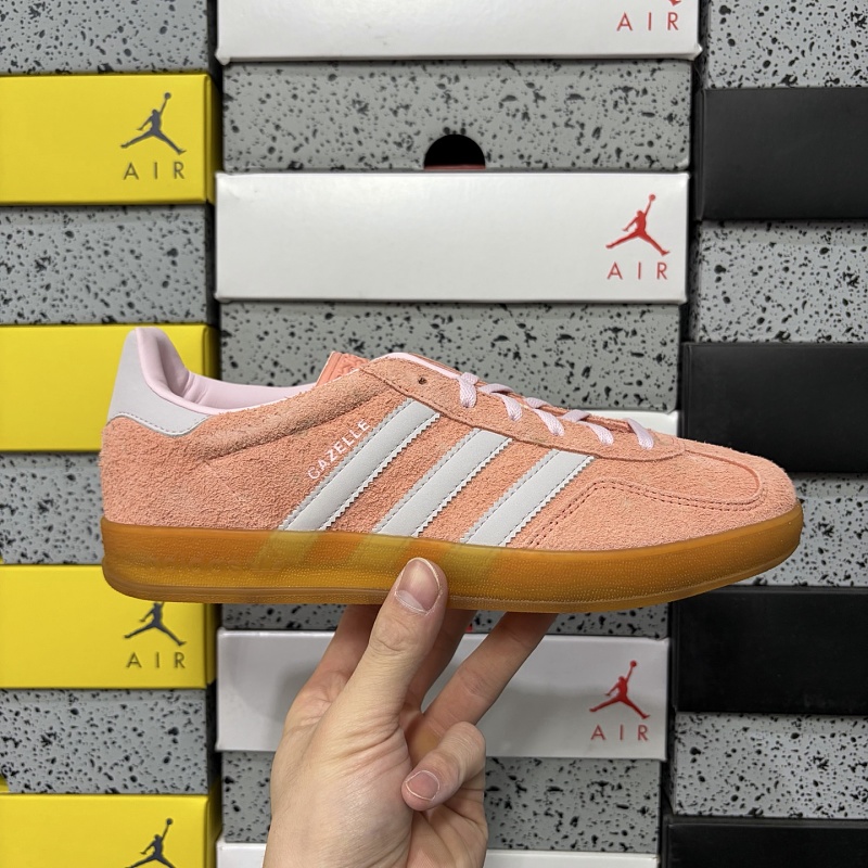 Gazelle Indoor 10