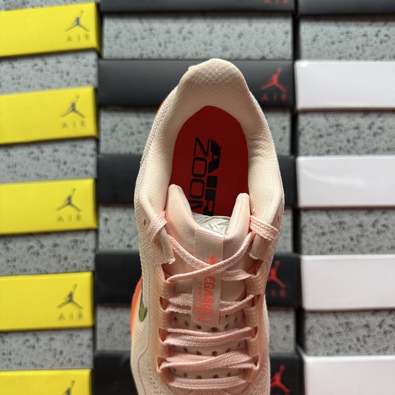 Pegasus Premium 5