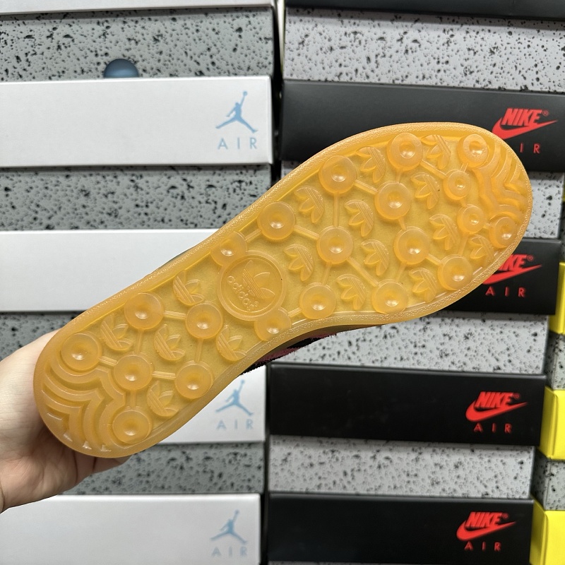 Gazelle Indoor 2