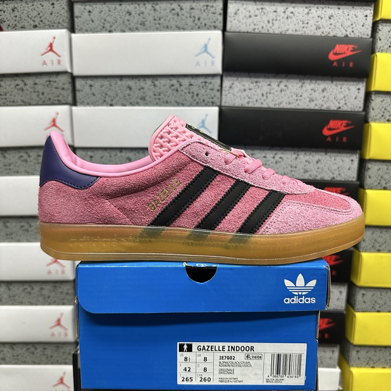 Gazelle Indoor 10