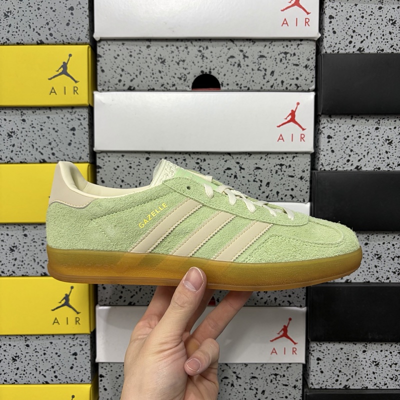 Gazelle Indoor 10