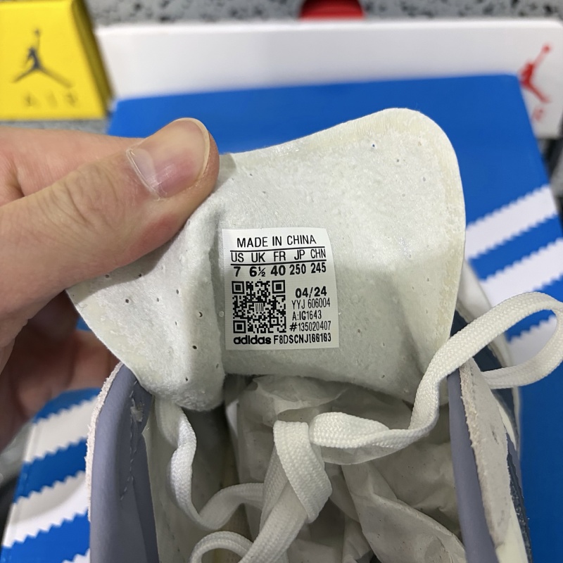 Gazelle Indoor