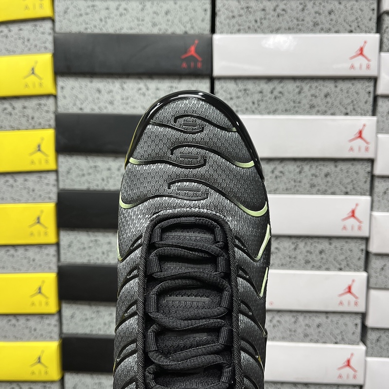 Air Max Plus TN 6