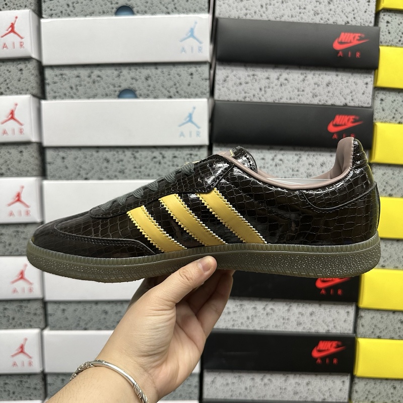 Samba 8
