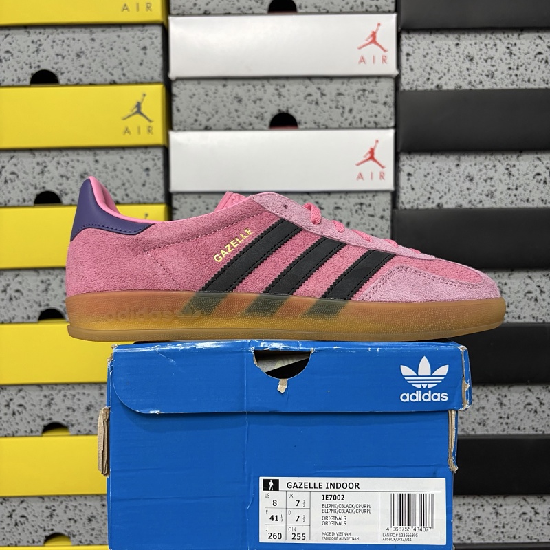 Gazelle Indoor 9