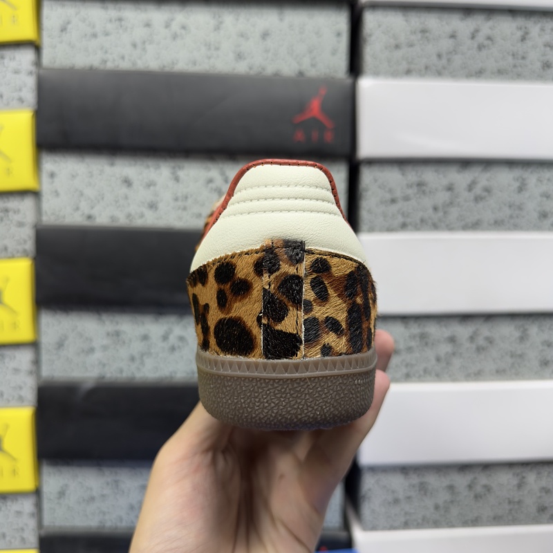 Samba Og 2
