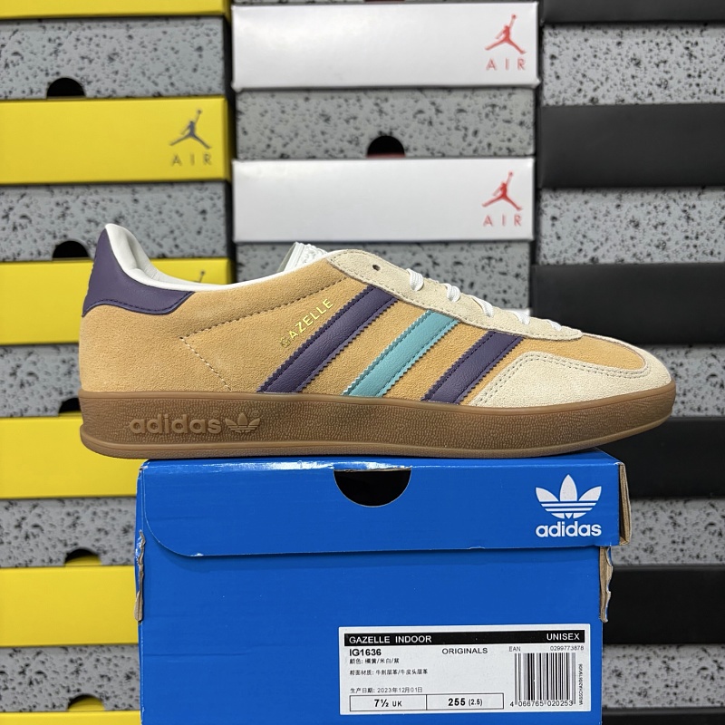 Gazelle Indoor 9
