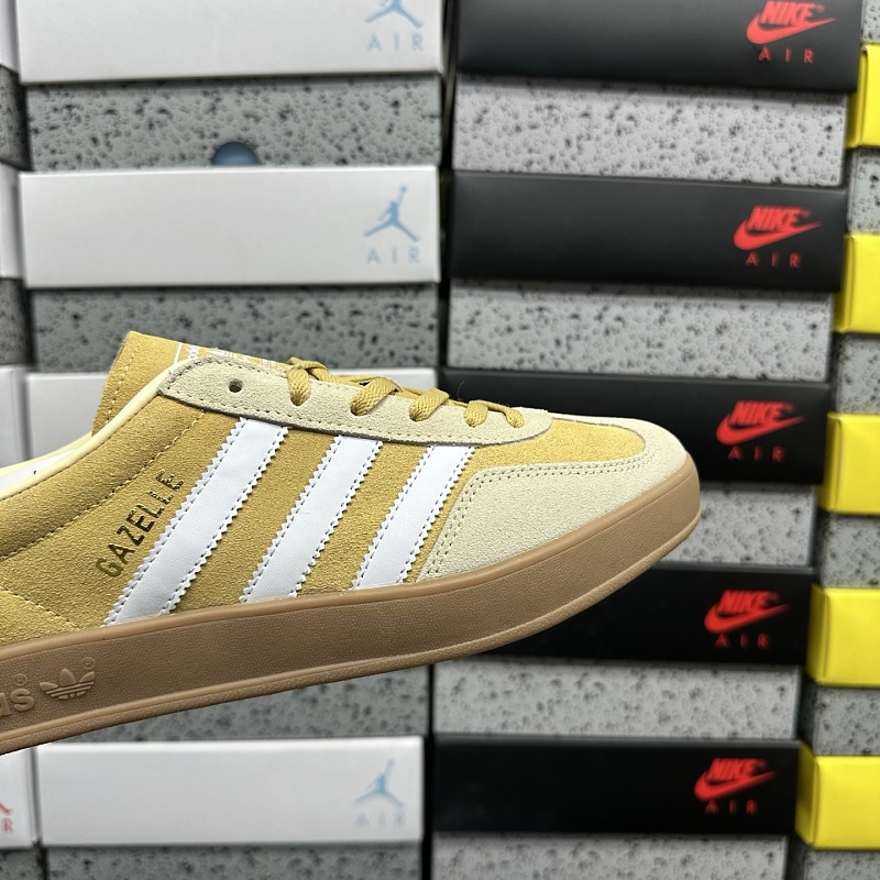 Gazelle Indoor 6