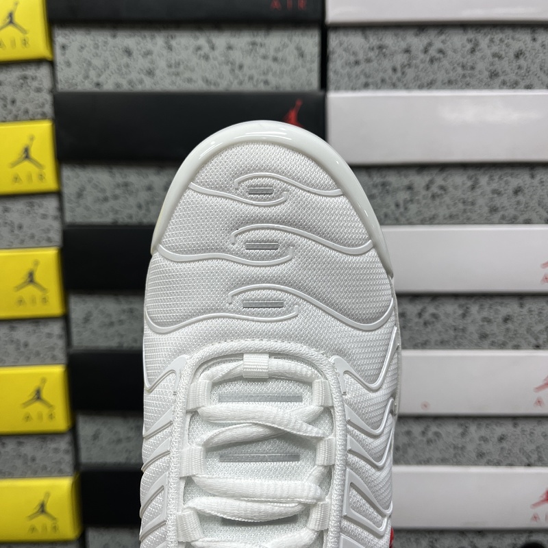 Air Max Plus TN 6