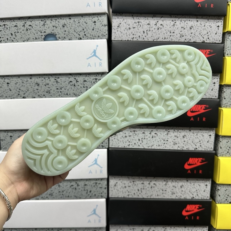 Gazelle Indoor 2