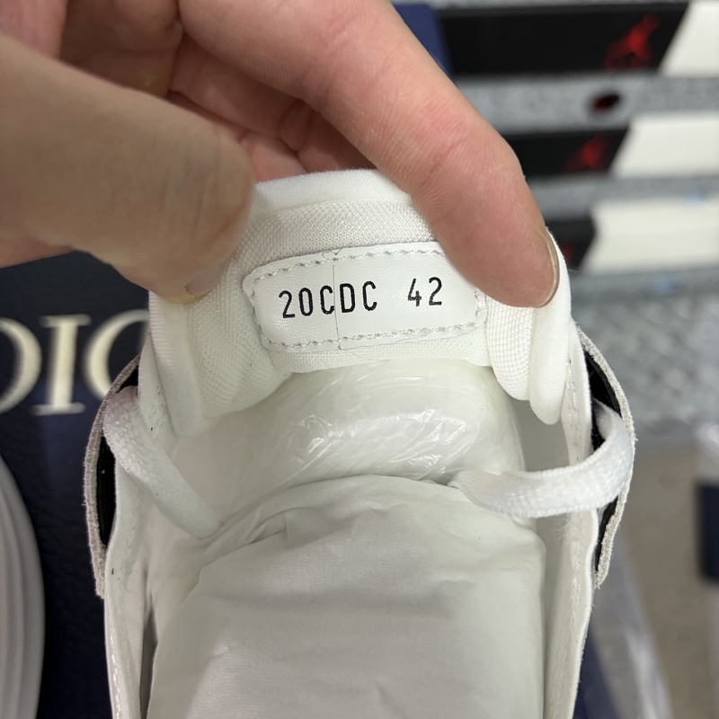 Dior B25 Sneaker 10