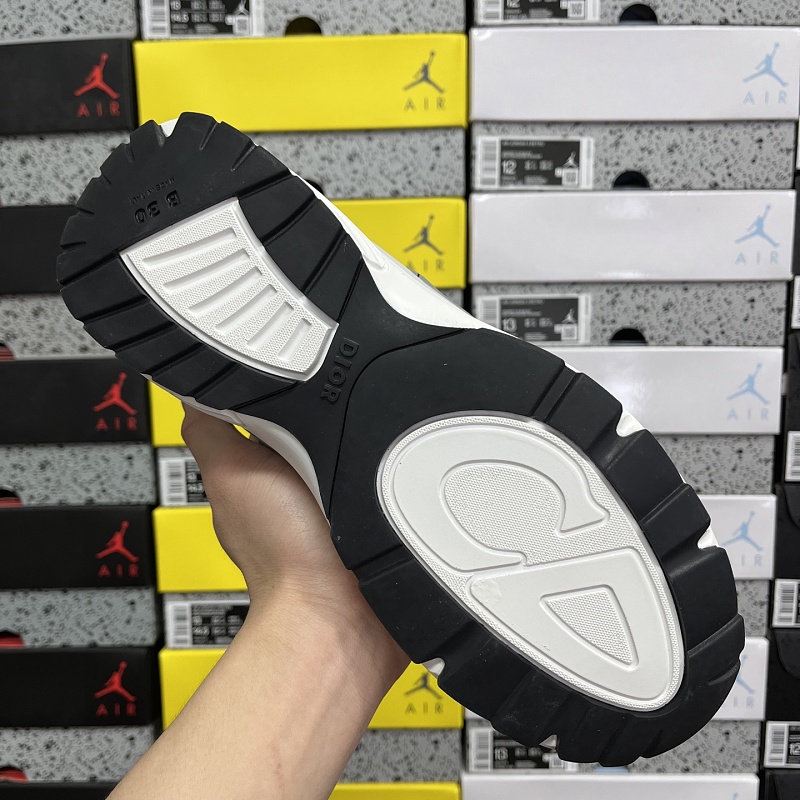 Dior B30 Sneakers 2