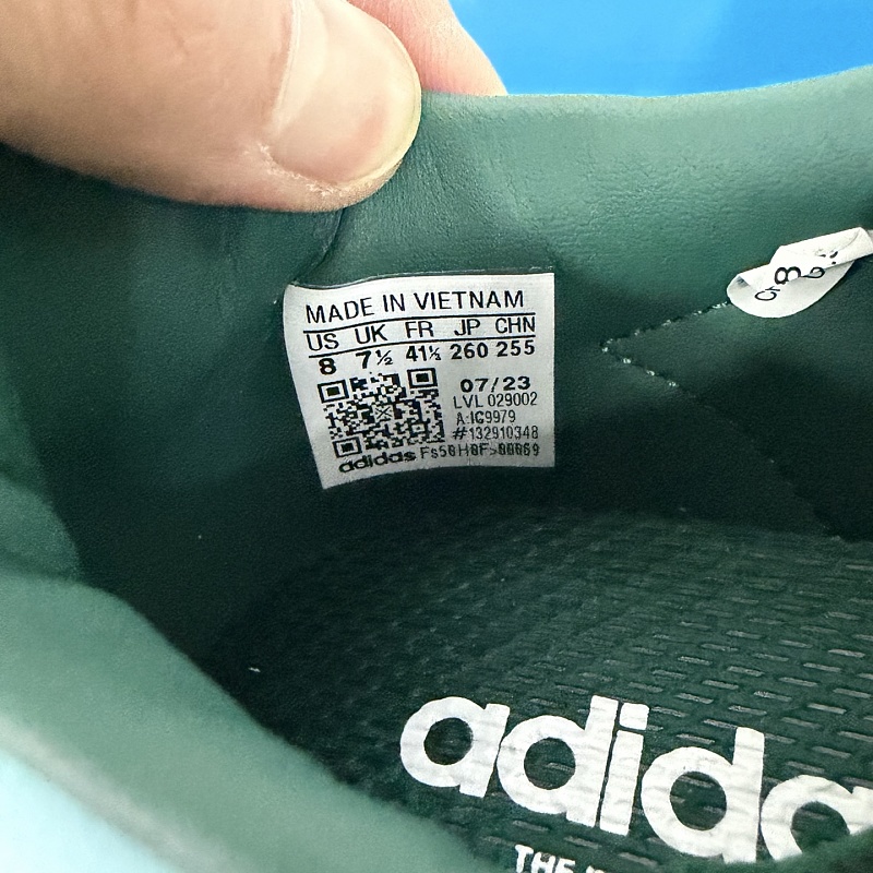 Gazelle Indoor /