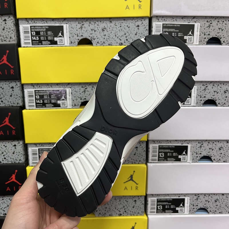 Dior B30 Sneakers 2