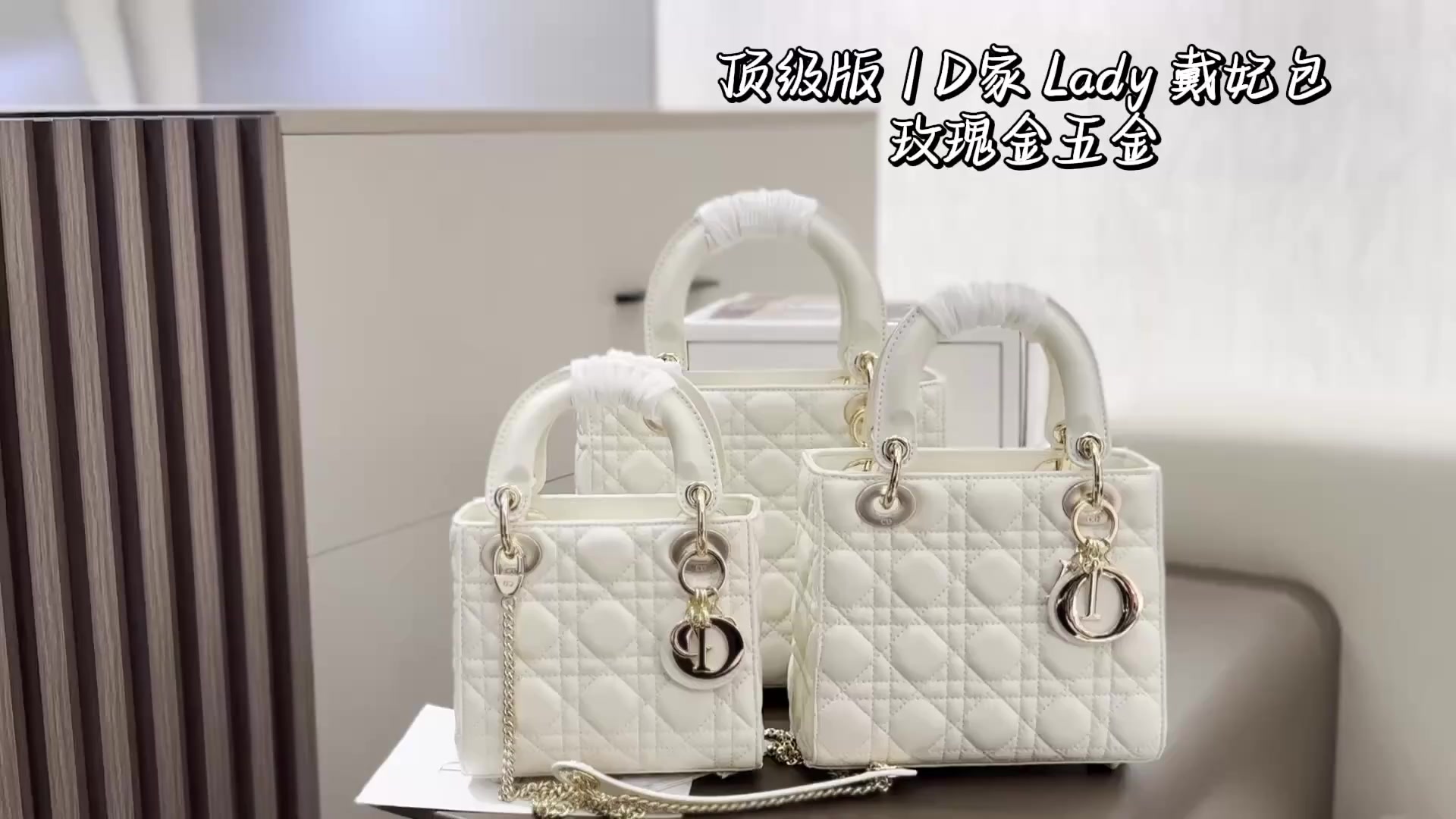 /440 Xinxin