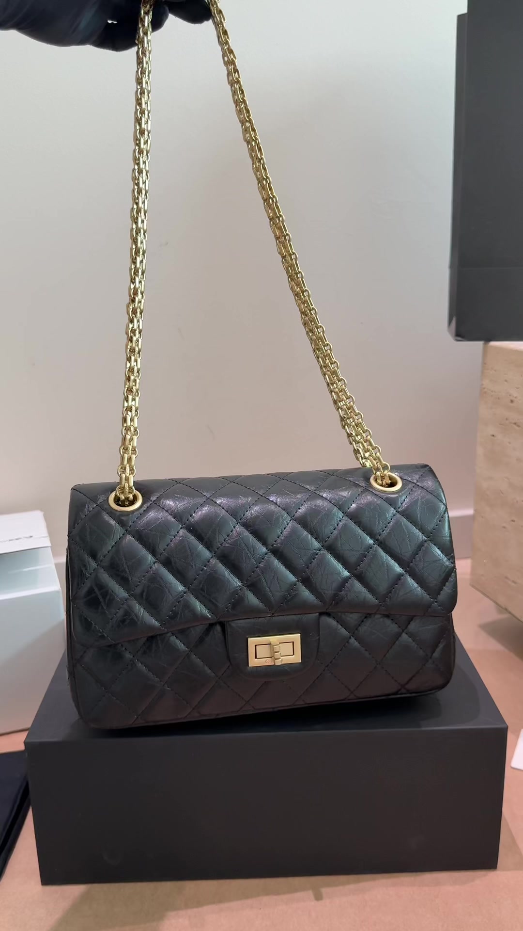 Xinxin 23cm